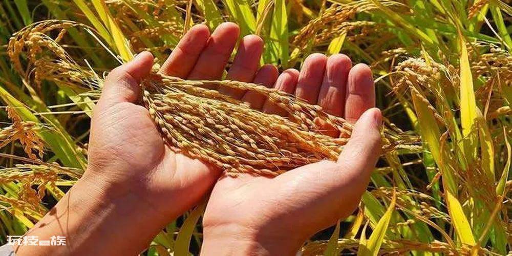 中国粮食储备够吃几年时间(我国目前的存粮能支撑多久)-图片3